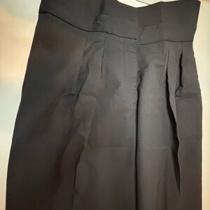 Aritzia Babaton Black pants